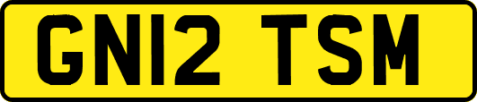 GN12TSM
