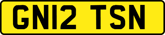 GN12TSN