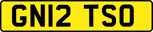 GN12TSO
