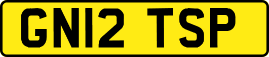 GN12TSP
