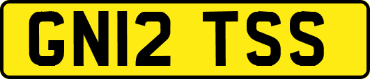 GN12TSS
