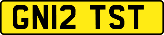 GN12TST