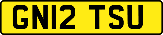 GN12TSU