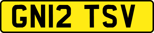 GN12TSV