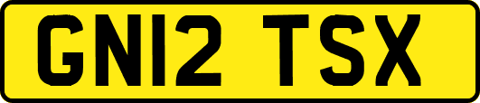 GN12TSX