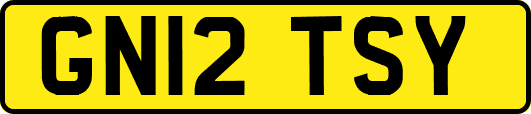 GN12TSY