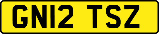 GN12TSZ