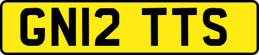 GN12TTS