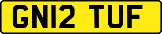 GN12TUF