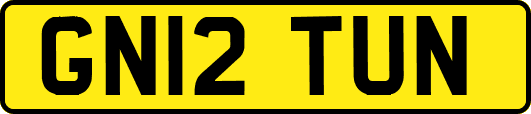 GN12TUN