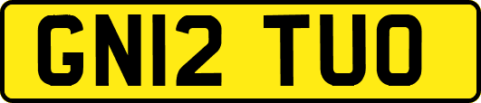 GN12TUO