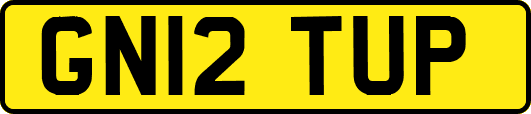 GN12TUP