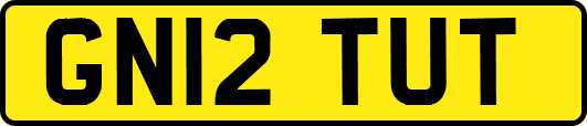 GN12TUT