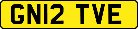 GN12TVE