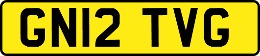 GN12TVG