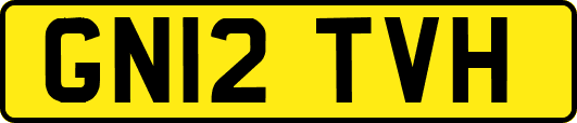 GN12TVH