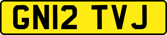 GN12TVJ