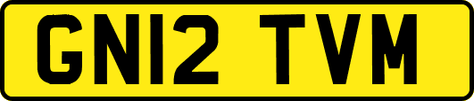 GN12TVM