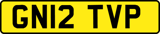 GN12TVP