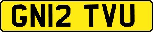 GN12TVU