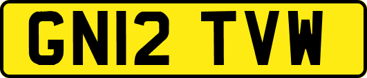 GN12TVW