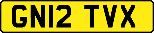 GN12TVX