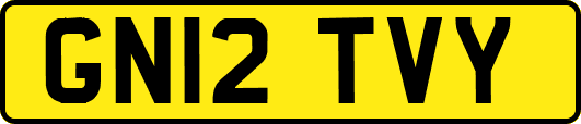 GN12TVY