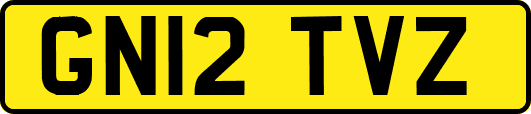 GN12TVZ
