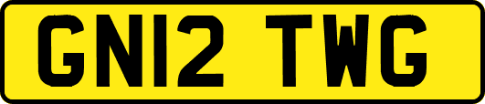 GN12TWG
