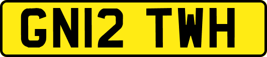 GN12TWH
