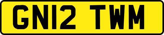 GN12TWM