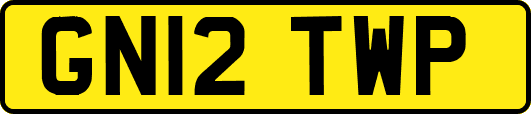 GN12TWP