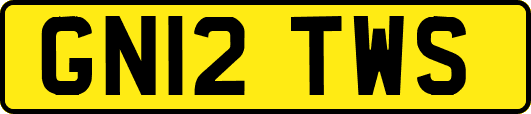 GN12TWS