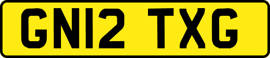 GN12TXG