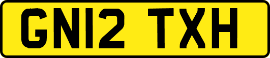 GN12TXH