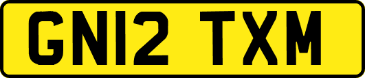 GN12TXM