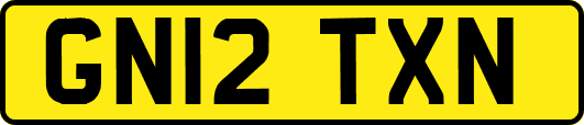 GN12TXN