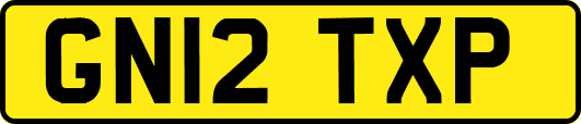 GN12TXP