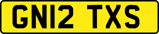 GN12TXS