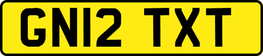 GN12TXT