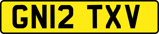 GN12TXV
