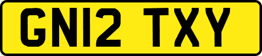 GN12TXY