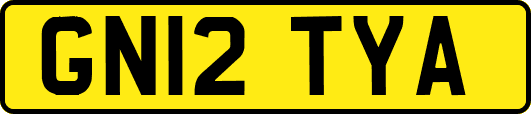 GN12TYA