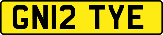 GN12TYE