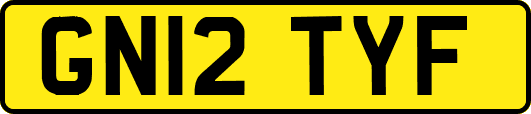 GN12TYF