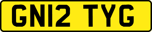 GN12TYG