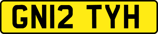 GN12TYH