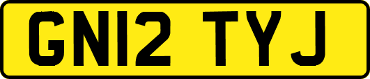 GN12TYJ