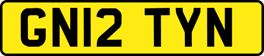 GN12TYN