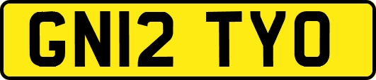 GN12TYO